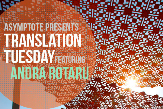 Asymptote Journal — Translation Tuesday: wrong connections by Andra Rotaru
