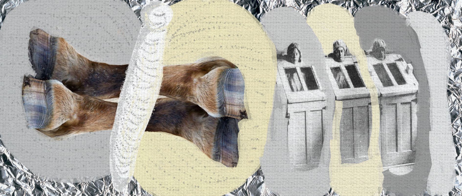 Content not Found collage - copite-fluturi