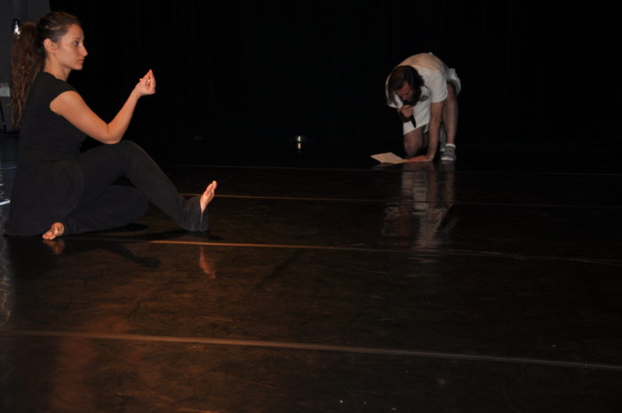 #dansliteratura #danceliterature project image - dansliteratura03