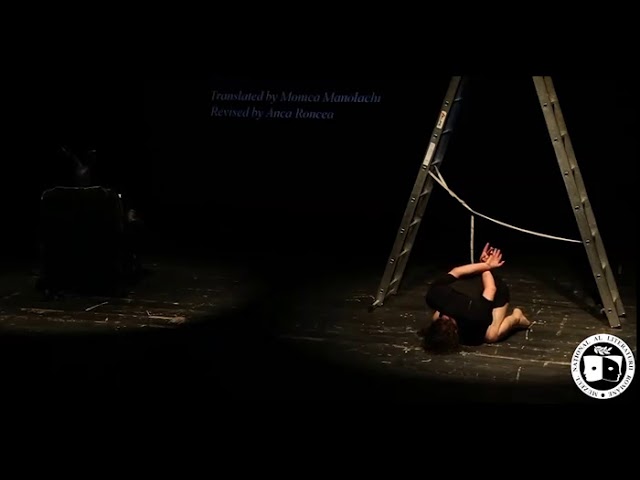 Swans and Broccoli performance - performance_swans_and_broccoli